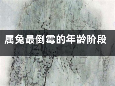 属兔最倒霉的年龄阶段