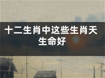 十二生肖中这些生肖天生命好