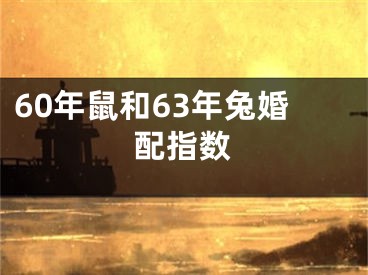 60年鼠和63年兔婚配指数