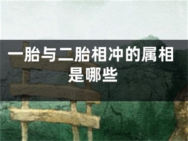 一胎与二胎相冲的属相是哪些