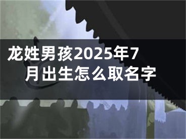 龙姓男孩2025年7月出生怎么取名字