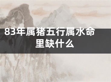 83年属猪五行属水命里缺什么