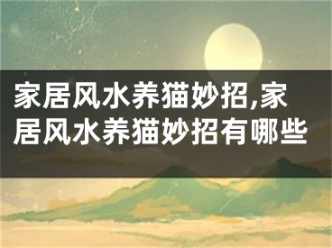 家居风水养猫妙招,家居风水养猫妙招有哪些