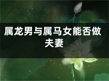 属龙男与属马女能否做夫妻