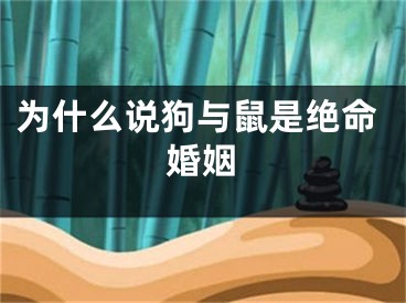 为什么说狗与鼠是绝命婚姻