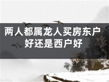两人都属龙人买房东户好还是西户好