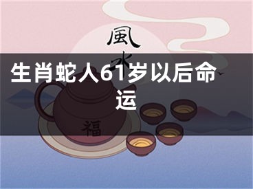 生肖蛇人61岁以后命运