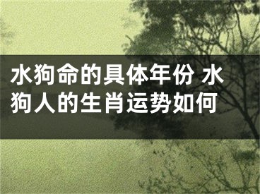 水狗命的具体年份 水狗人的生肖运势如何 
