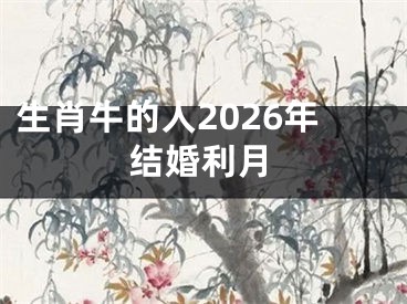 生肖牛的人2026年结婚利月