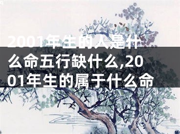 2001年生的人是什么命五行缺什么,2001年生的属于什么命