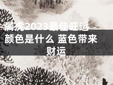 属虎2023最佳旺运颜色是什么 蓝色带来财运