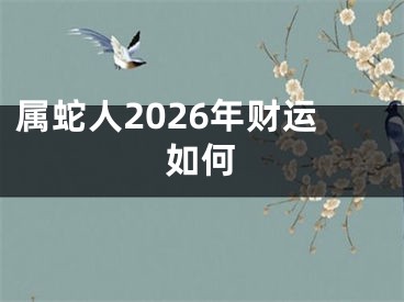 属蛇人2026年财运如何