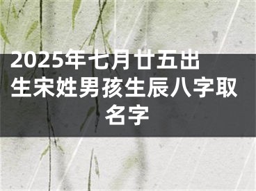 2025年七月廿五出生宋姓男孩生辰八字取名字