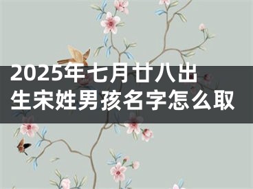 2025年七月廿八出生宋姓男孩名字怎么取