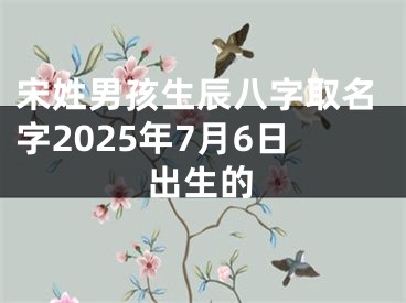 宋姓男孩生辰八字取名字2025年7月6日出生的