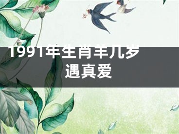 1991年生肖羊几岁遇真爱