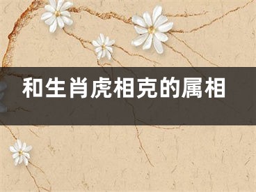 和生肖虎相克的属相