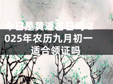 今日是黄道吉日吗 2025年农历九月初一适合领证吗