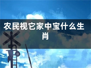 农民视它家中宝什么生肖
