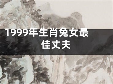 1999年生肖兔女最佳丈夫