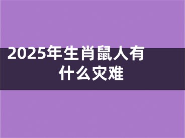 2025年生肖鼠人有什么灾难