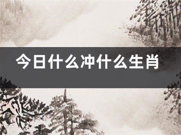 今日什么冲什么生肖