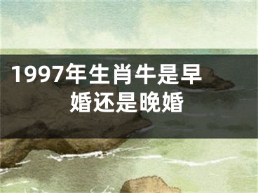 1997年生肖牛是早婚还是晚婚