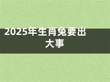 2025年生肖兔要出大事