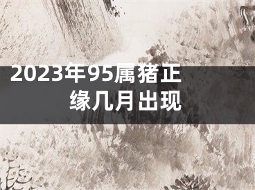 2023年95属猪正缘几月出现