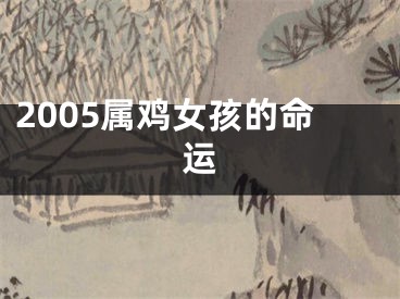 2005属鸡女孩的命运
