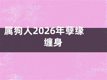 属狗人2026年孽缘缠身