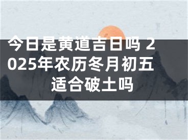 今日是黄道吉日吗 2025年农历冬月初五适合破土吗
