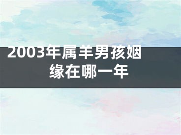 2003年属羊男孩姻缘在哪一年