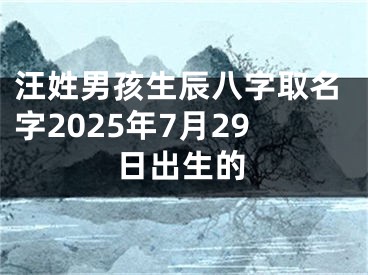 汪姓男孩生辰八字取名字2025年7月29日出生的