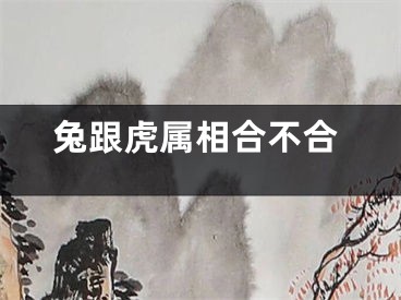 兔跟虎属相合不合