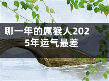 哪一年的属猴人2025年运气最差