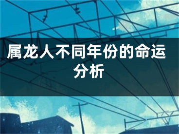 属龙人不同年份的命运分析