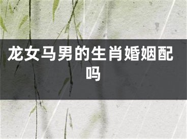 龙女马男的生肖婚姻配吗