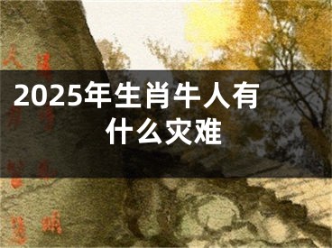 2025年生肖牛人有什么灾难
