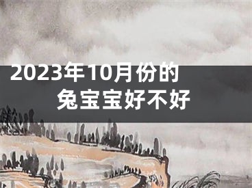 2023年10月份的兔宝宝好不好