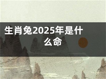 生肖兔2025年是什么命