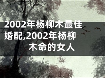 2002年杨柳木最佳婚配,2002年杨柳木命的女人