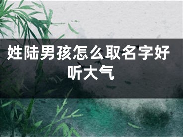 姓陆男孩怎么取名字好听大气