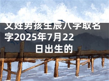 文姓男孩生辰八字取名字2025年7月22日出生的