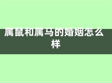 属鼠和属马的婚姻怎么样