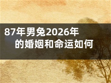 87年男兔2026年的婚姻和命运如何