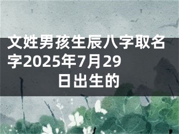 文姓男孩生辰八字取名字2025年7月29日出生的