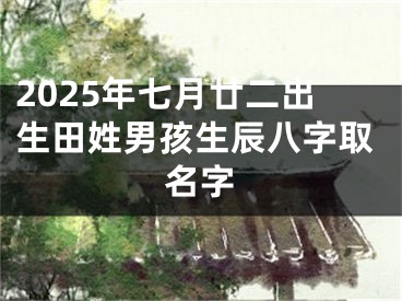 2025年七月廿二出生田姓男孩生辰八字取名字