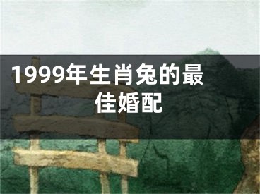1999年生肖兔的最佳婚配