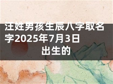 汪姓男孩生辰八字取名字2025年7月3日出生的